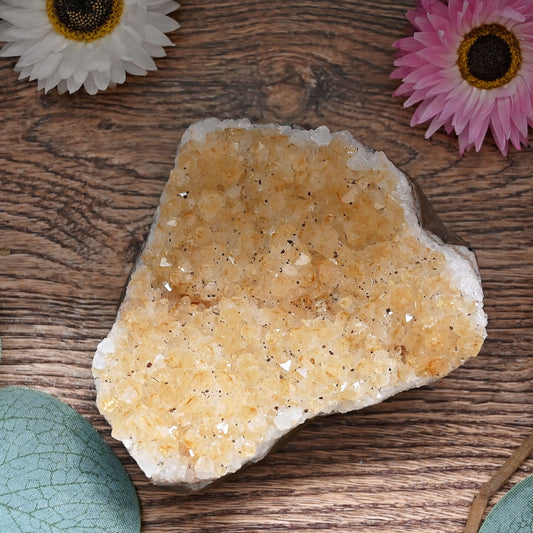 Citrine Cluster #10