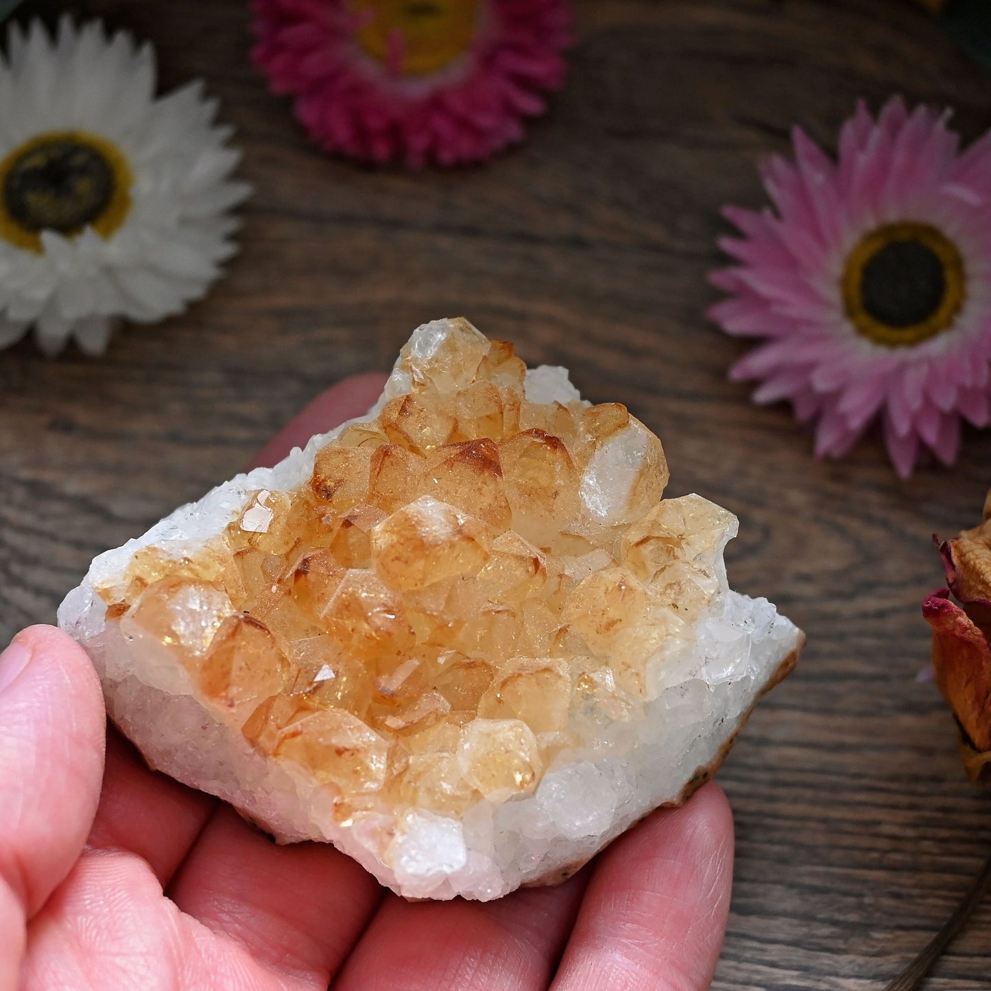 Citrine Cluster #13