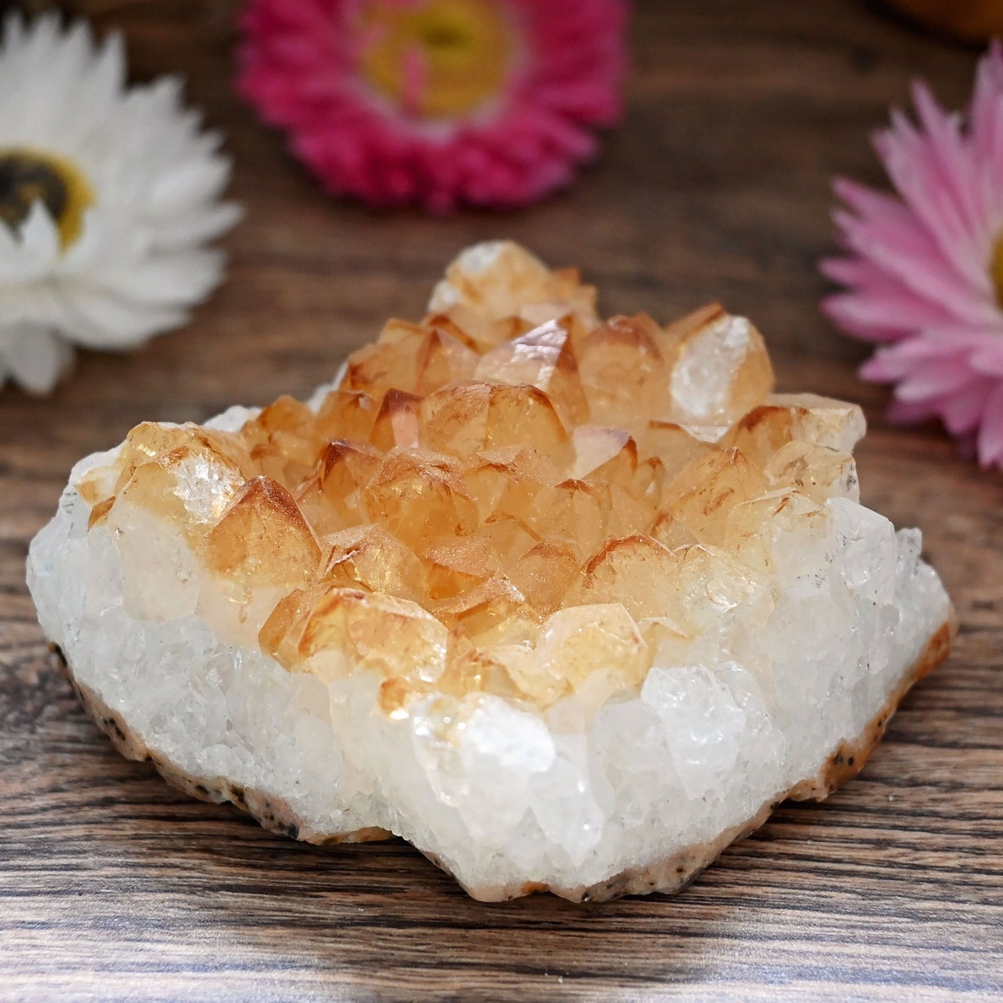 Citrine Cluster #13