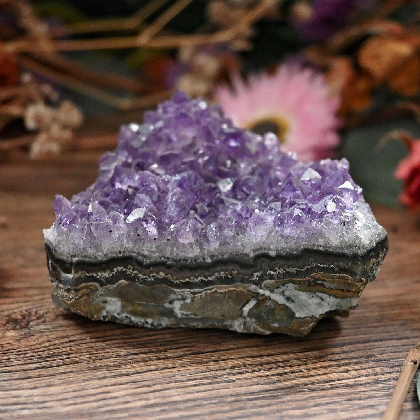 Amethyst Cluster #4