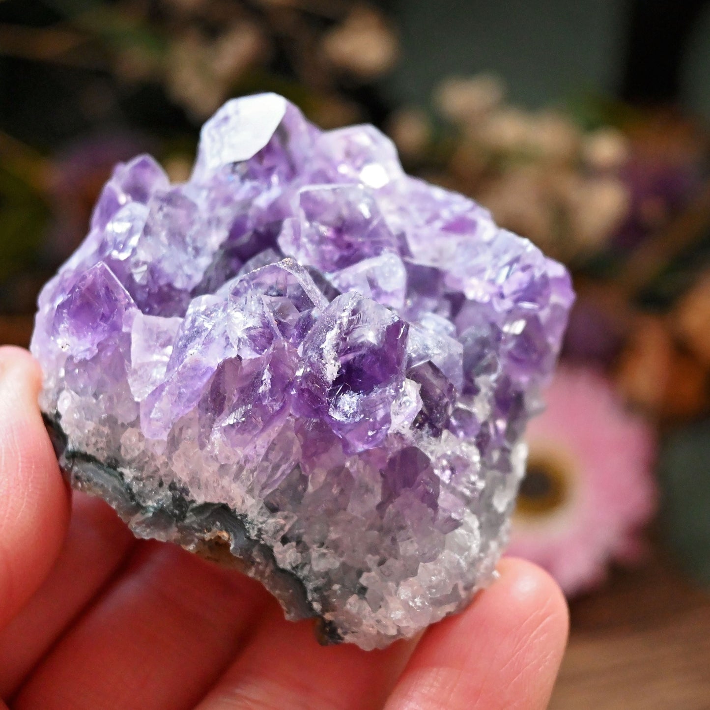 Amethyst Cluster #5