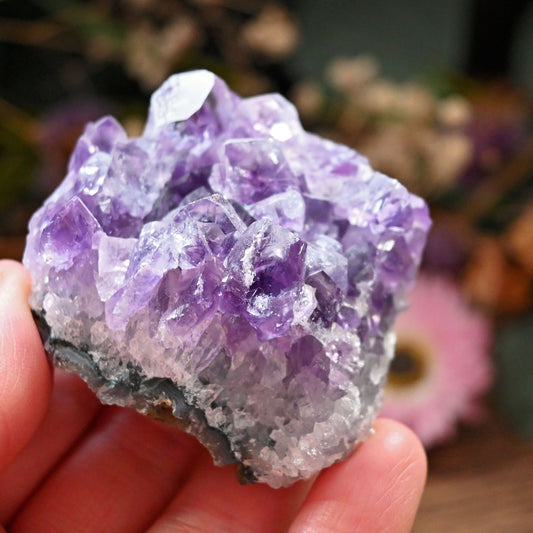 Amethyst Cluster #5