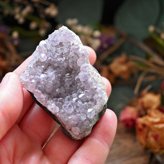 Amethyst Cluster #6