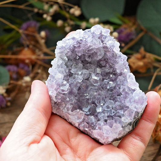 Amethyst Cluster #9