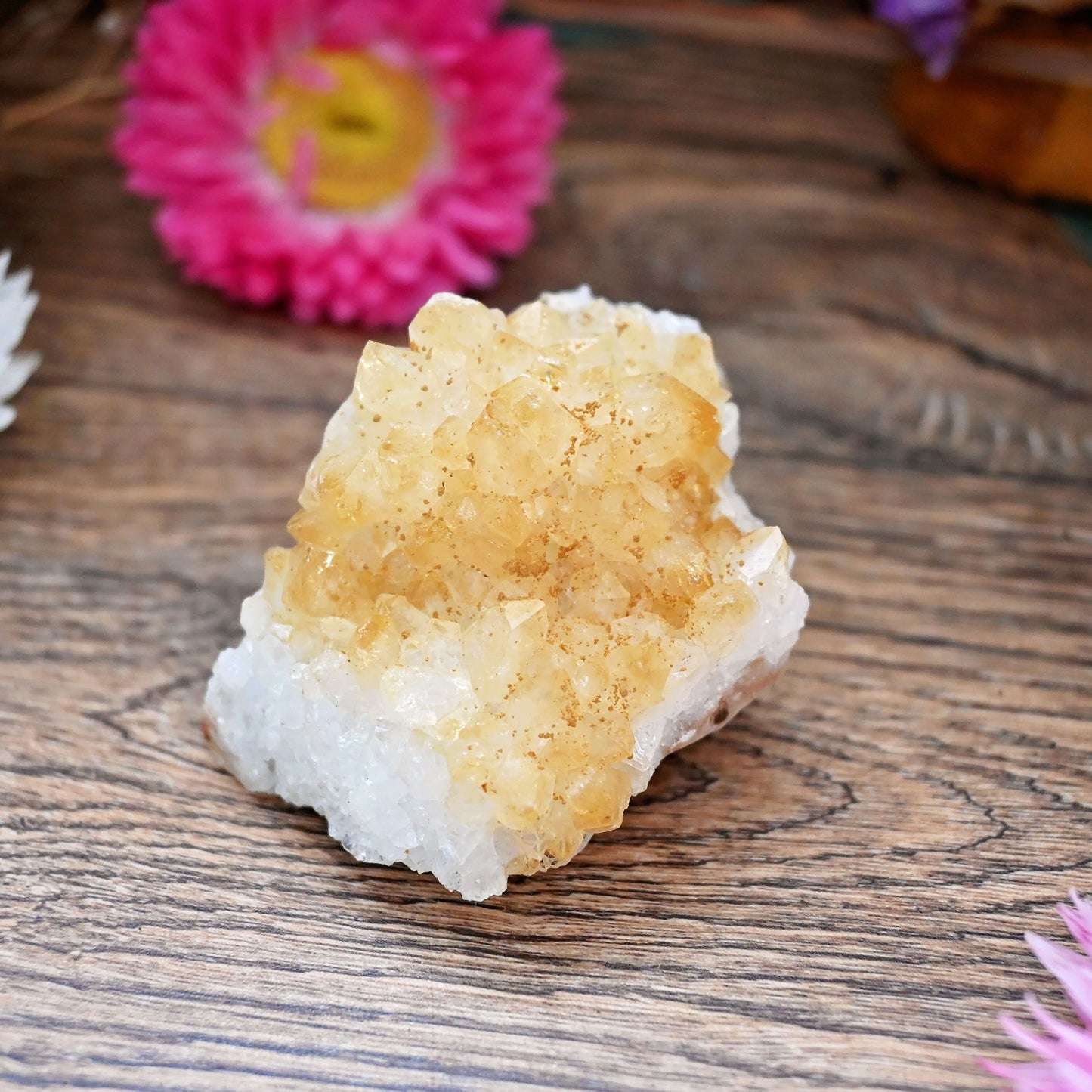 Citrine Cluster #6