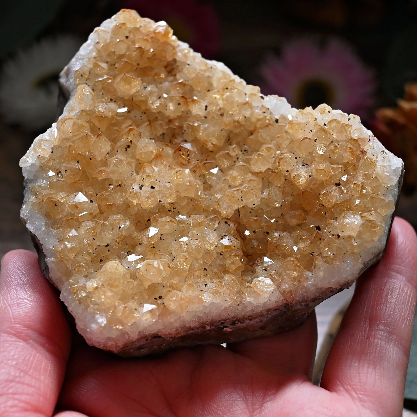 Citrine Cluster #10