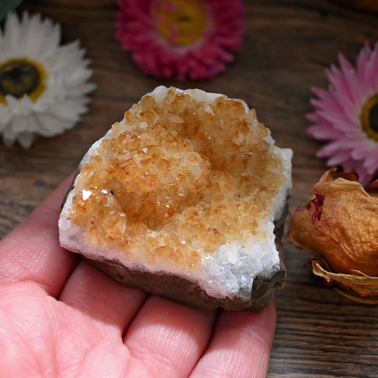Citrine Cluster #14