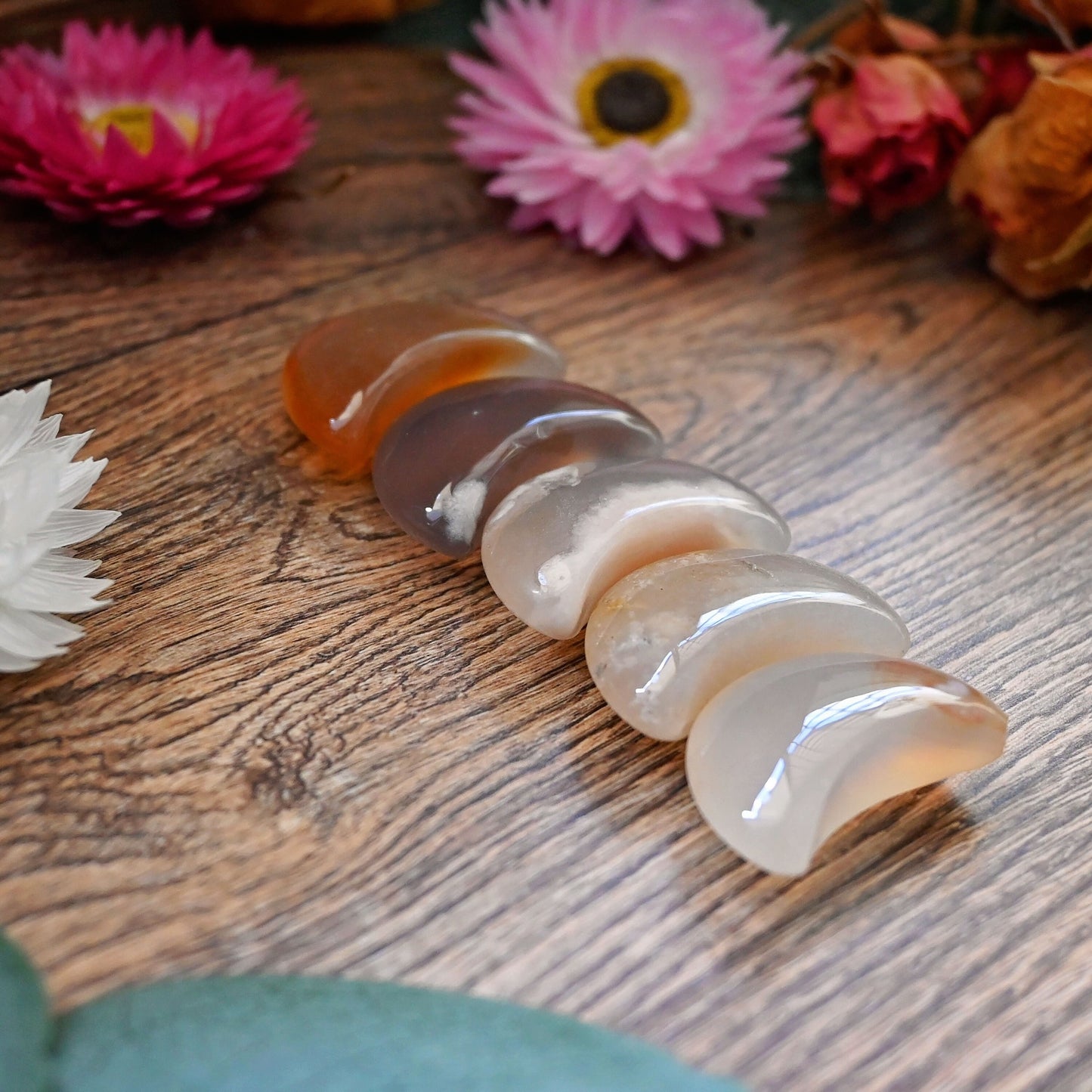 Mini Polished Crescent Moon - Flower Agate