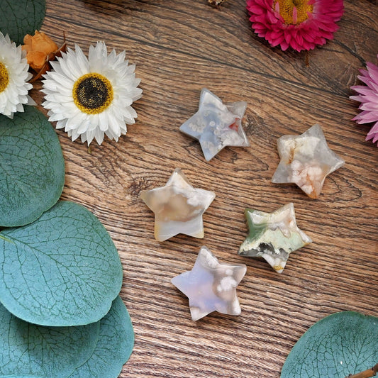 Mini Polished Star - Flower Agate