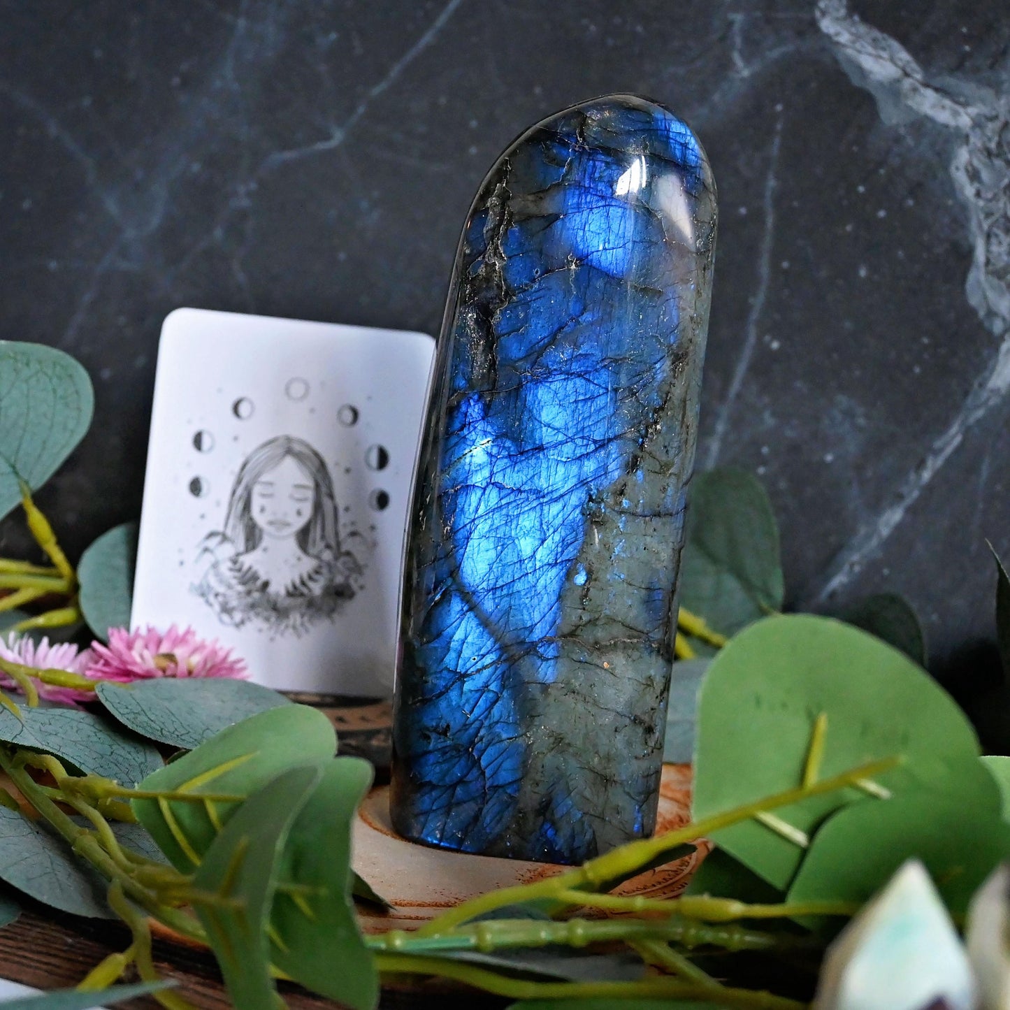 Labradorite Standing Freeform - Large