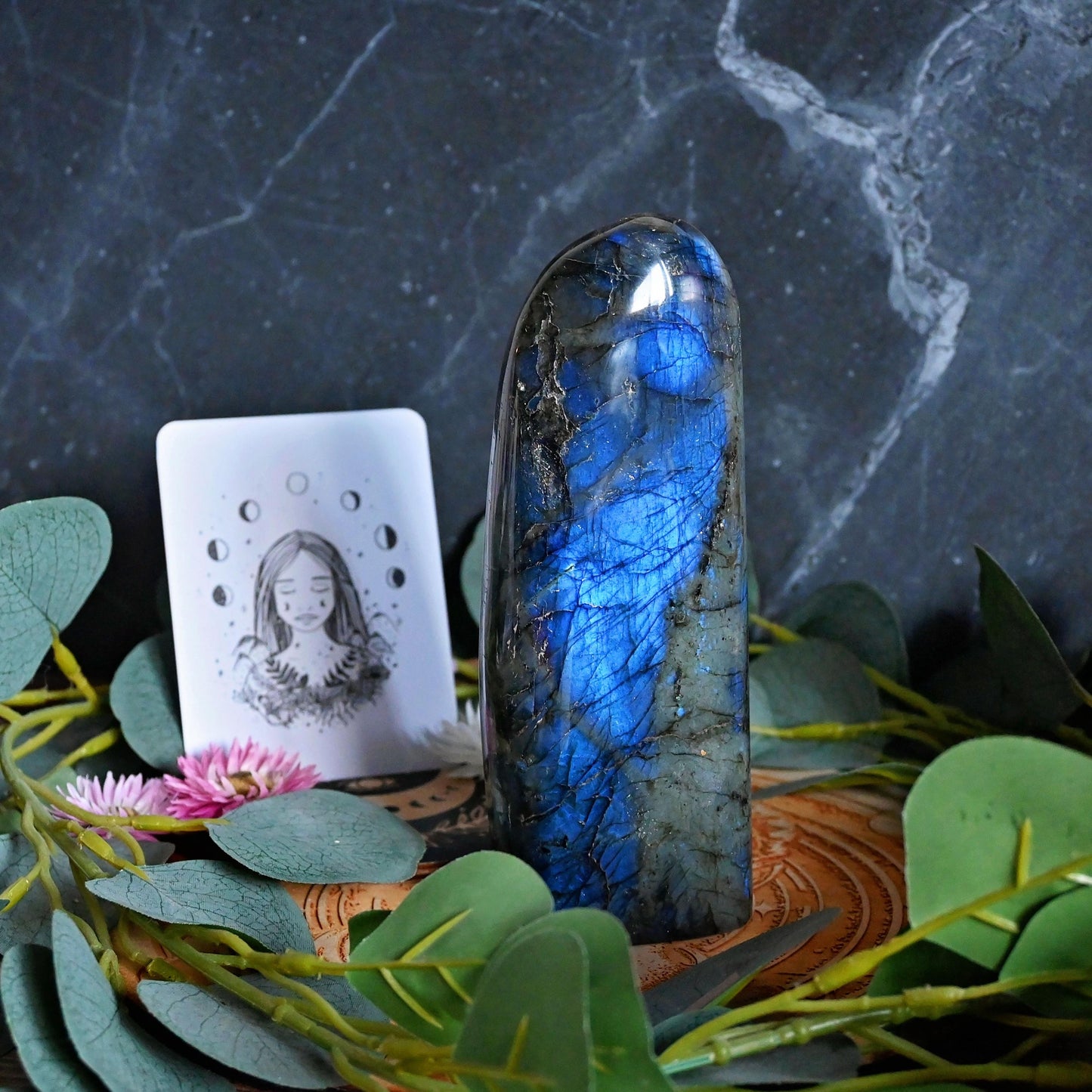 Labradorite Standing Freeform - Large