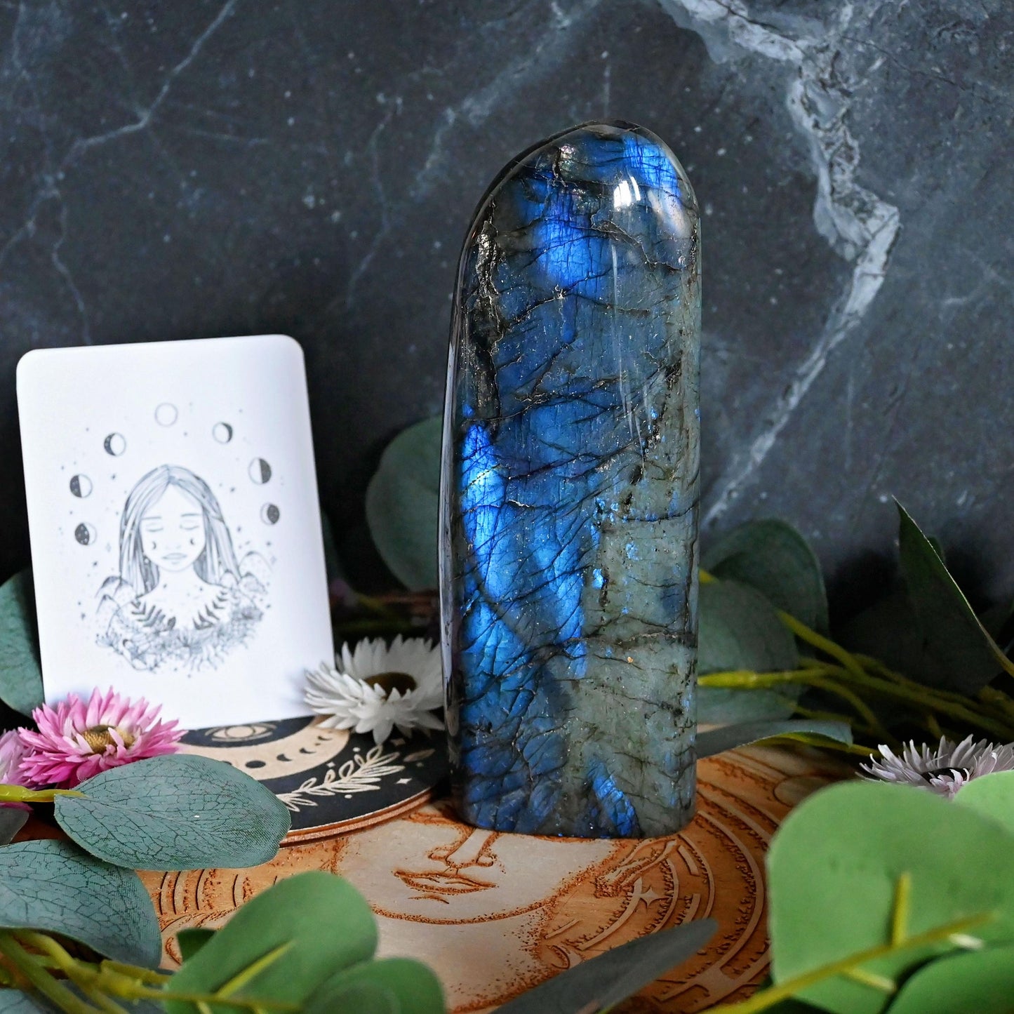 Labradorite Standing Freeform - Large