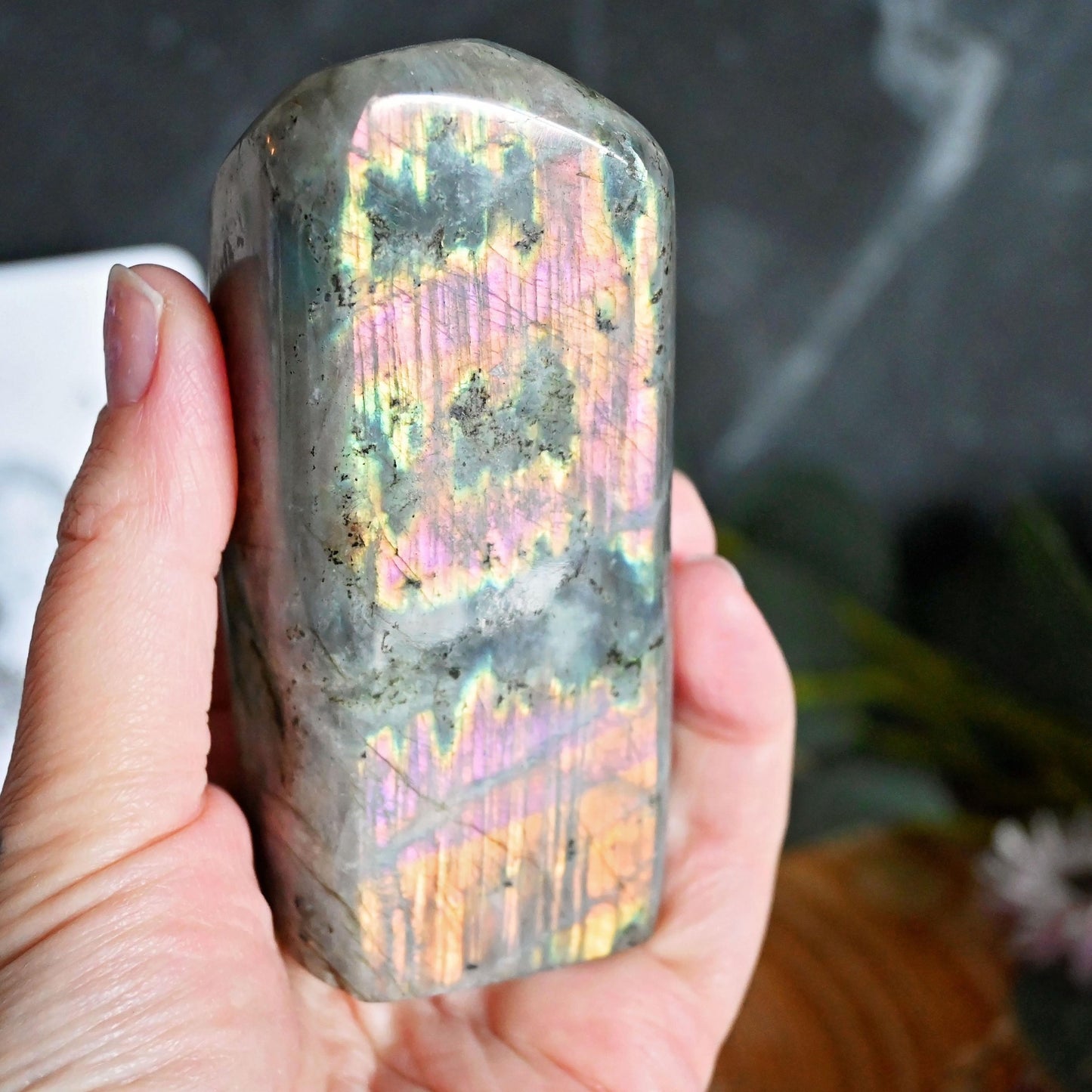 Labradorite Standing Freeform with Purple Flash