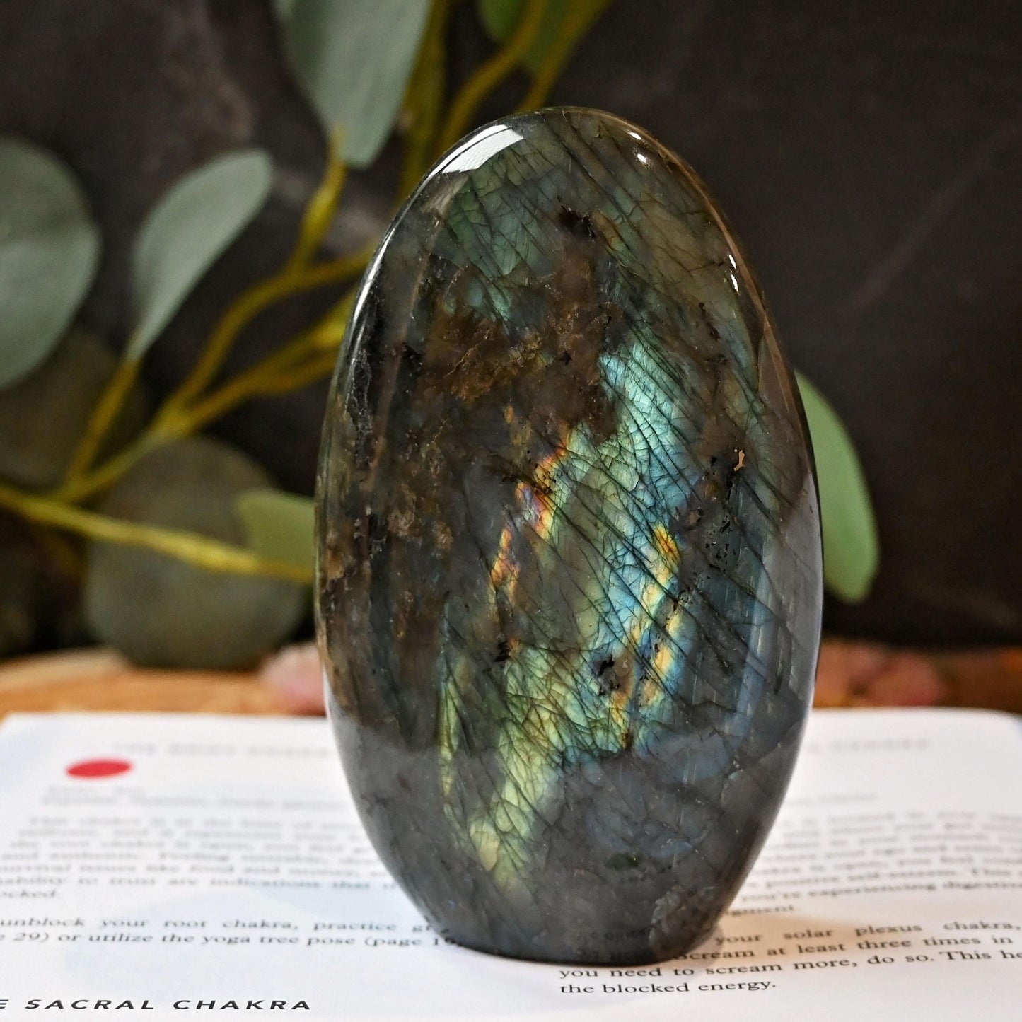 Labradorite Standing Freeform #2