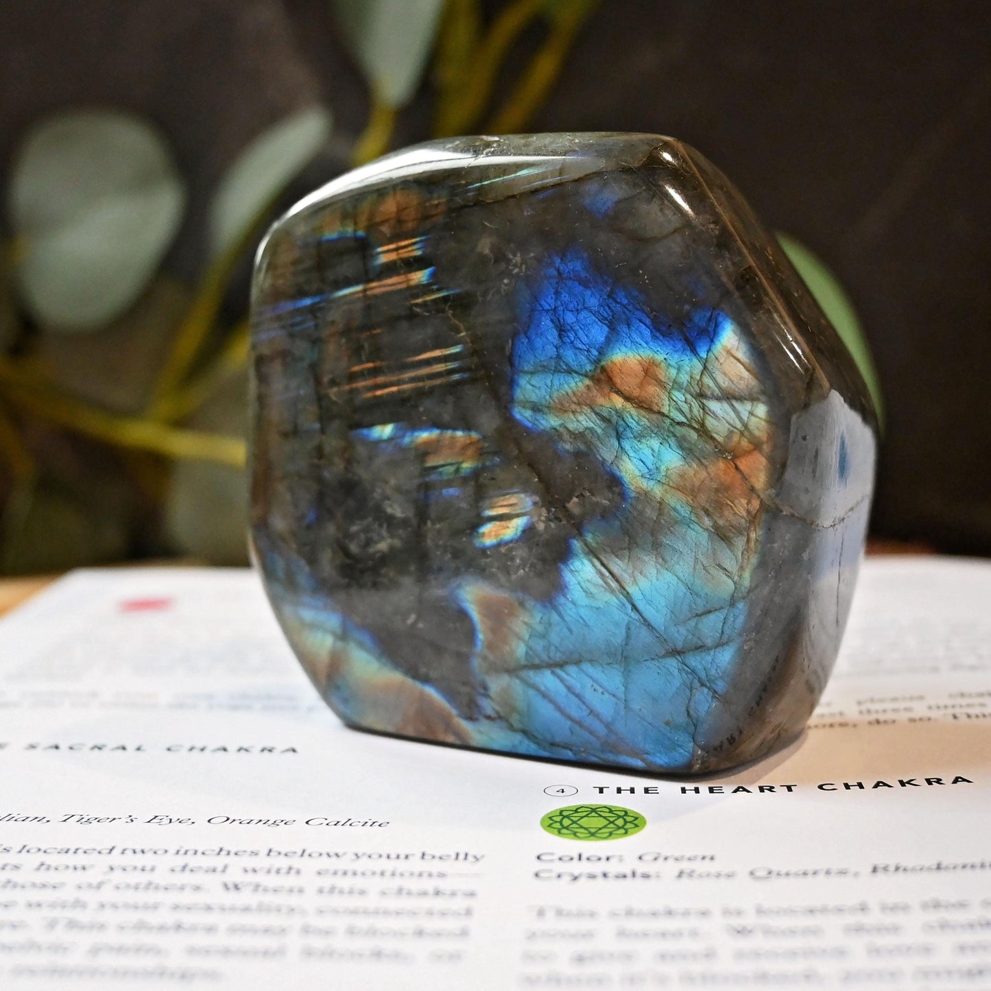 Labradorite Standing Freeform #3