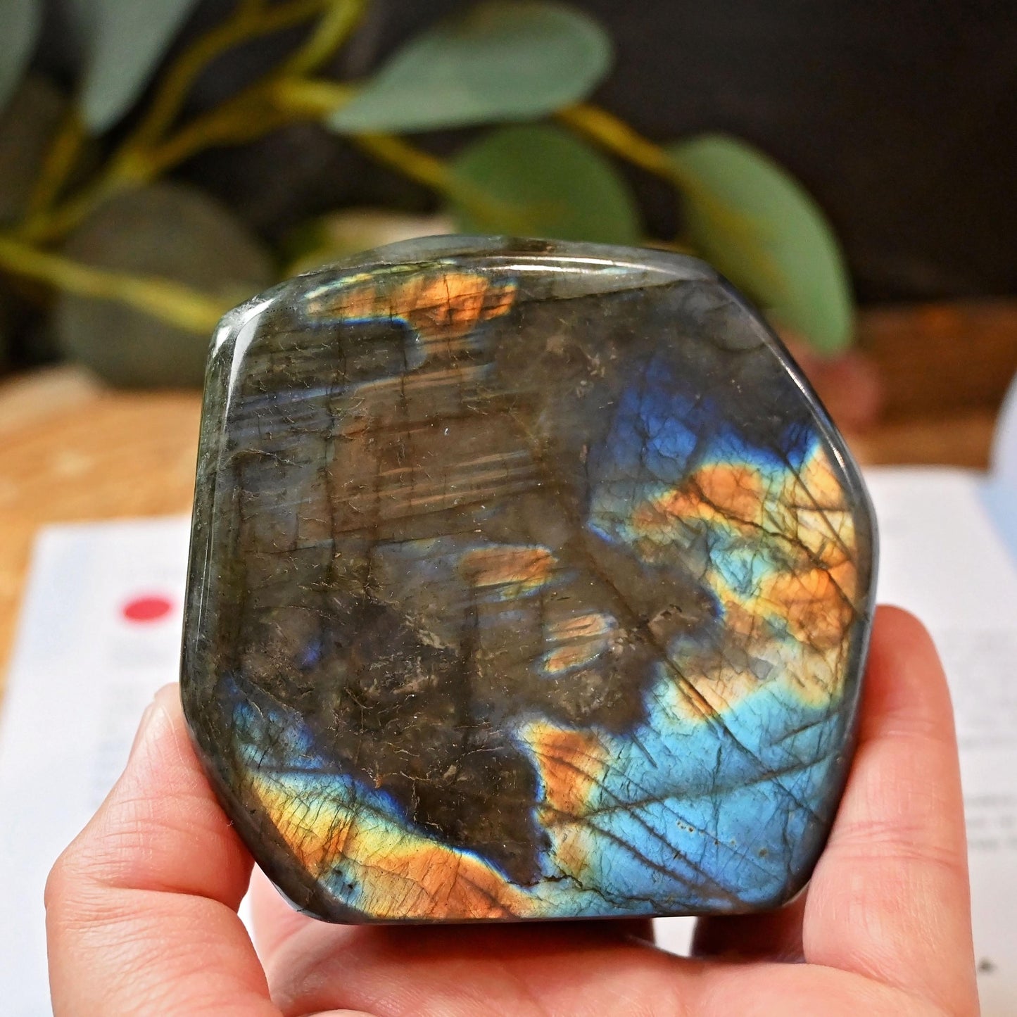 Labradorite Standing Freeform #3