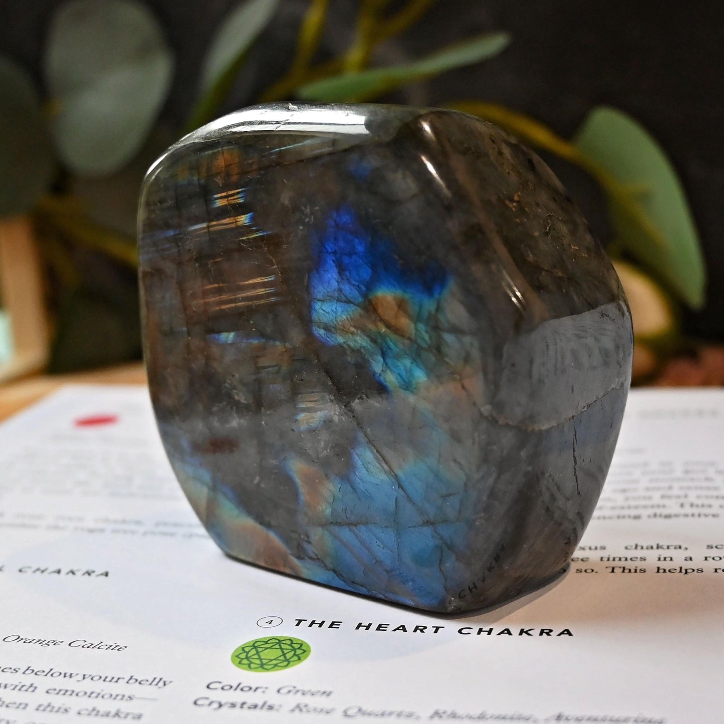Labradorite Standing Freeform #3