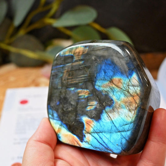 Labradorite Standing Freeform #3