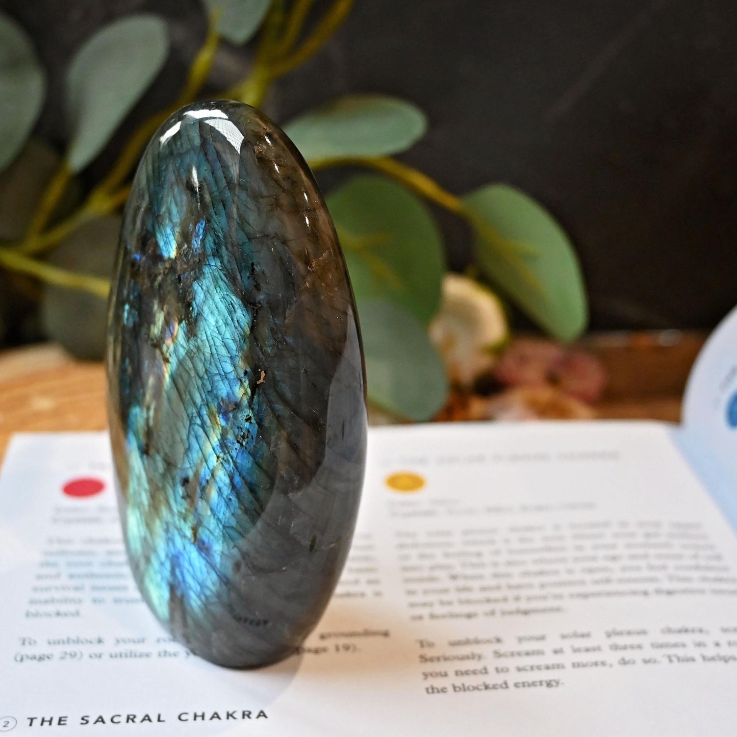 Labradorite Standing Freeform #2