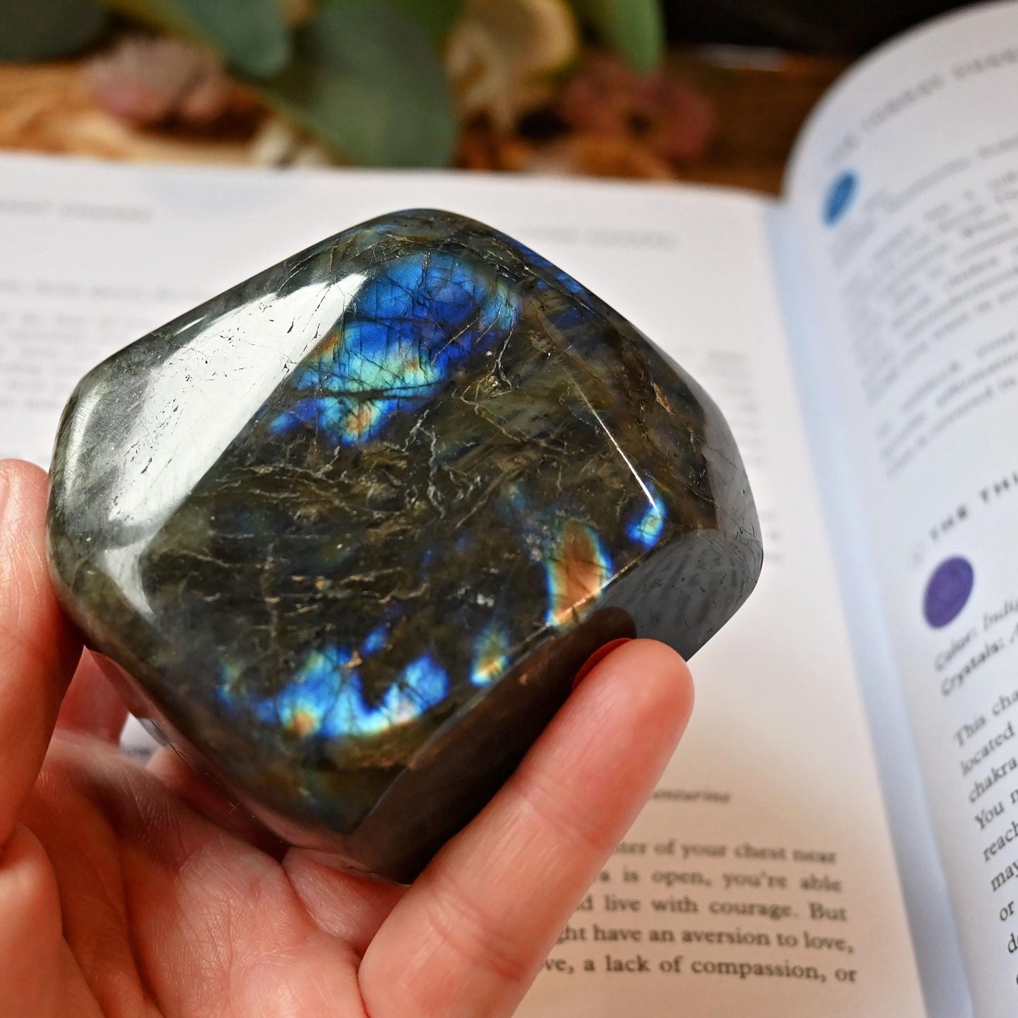 Labradorite Standing Freeform #3